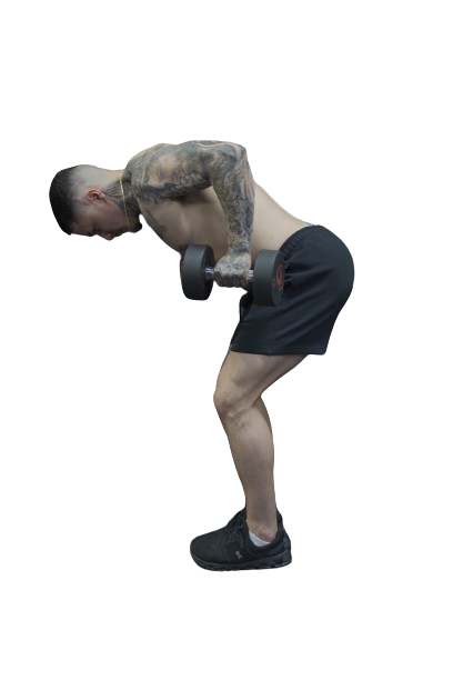 Main_Header_Shot_-removebg-preview (1)